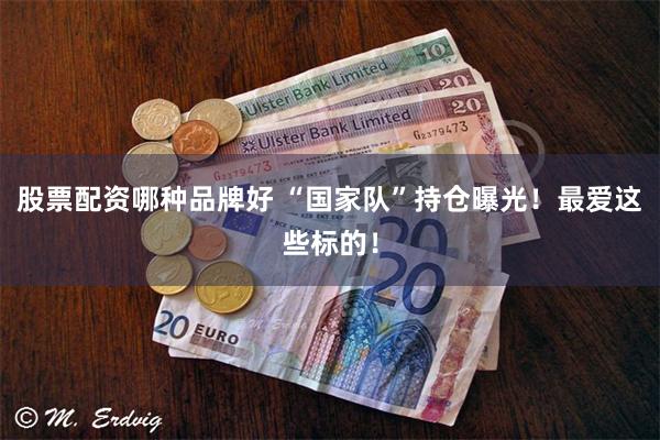 股票配资哪种品牌好 “国家队”持仓曝光！最爱这些标的！