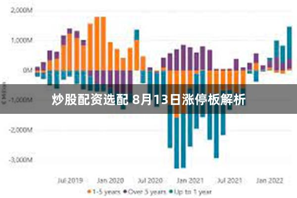 炒股配资选配 8月13日涨停板解析