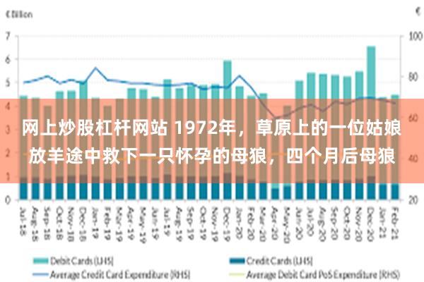 网上炒股杠杆网站 1972年，草原上的一位姑娘放羊途中救下一只怀孕的母狼，四个月后母狼