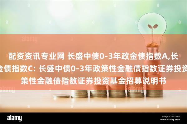 配资资讯专业网 长盛中债0-3年政金债指数A,长盛中债0-3年政金债指数C: 长盛中债0-3年政策性金融债指数证券投资基金招募说明书