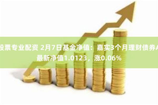 股票专业配资 2月7日基金净值：嘉实3个月理财债券A最新净值1.0123，涨0.06%