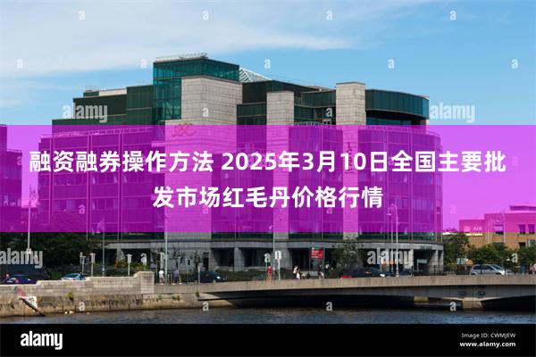 融资融券操作方法 2025年3月10日全国主要批发市场红毛丹价格行情